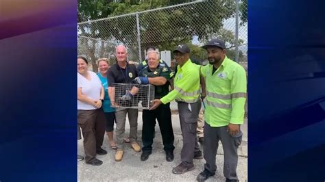 BSO deputy saves a cat that was trapped in Mercedes-Benz